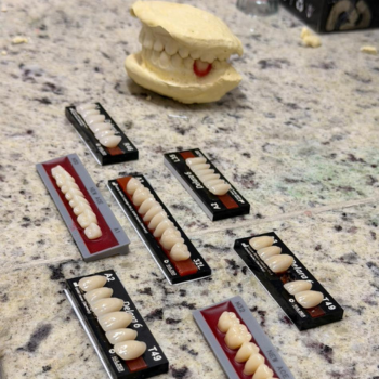 Laboratorio protetico proprio